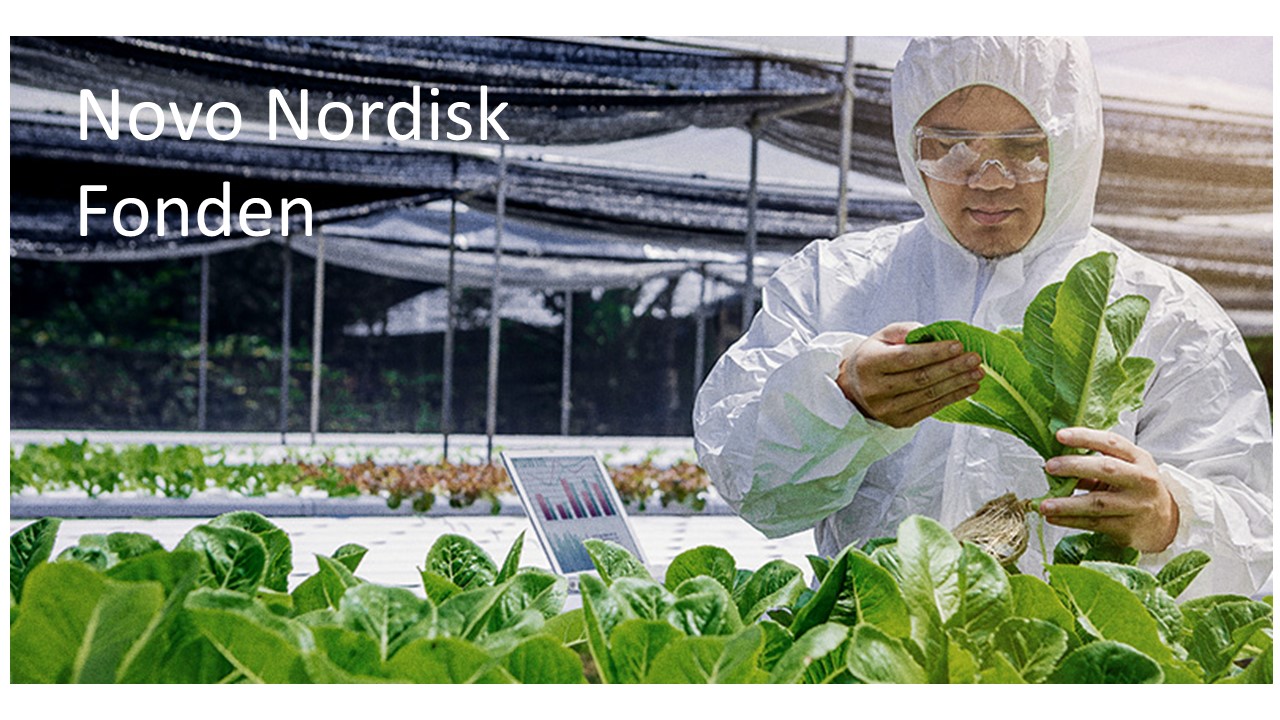 Novo Nordisk Foundation - Uitdagingsprogramma 2023 - Toekomstige landbouw- en voedingssystemen-image