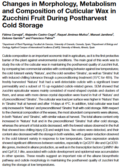 Changes in Morphology, Metabolism and Composition of Cuticular Wax in Zucchini Fruit During Postharvest Cold Storage-image
