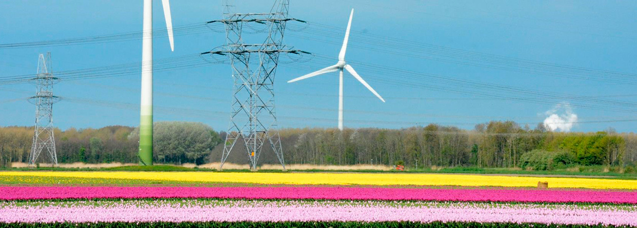 Energy & Agriculture: model farms-image