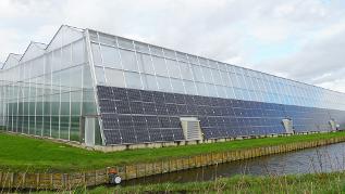 Federal program to increase energy efficiency and CO2 savings in agriculture and horticulture-image