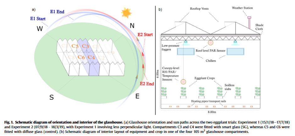 A novel cover material improves cooling energy and fertigation efficiency for glasshouse eggplant production-image