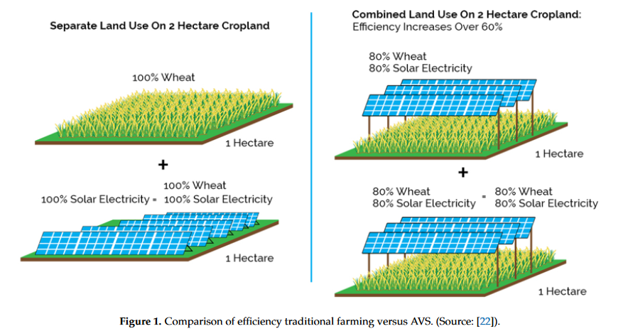 Solar photovoltaic architecture and agronomic management in agrivoltaic system: A review-image