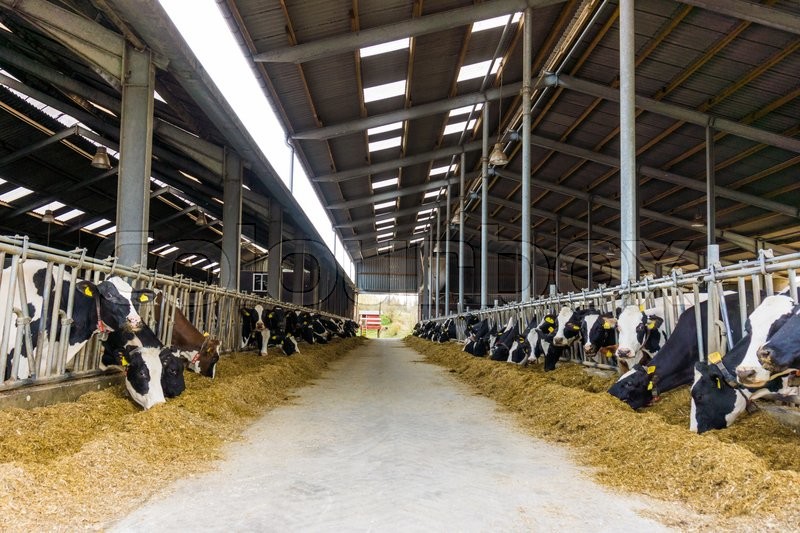 Energy savings in agriculture-image