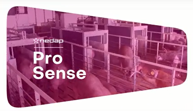 Nedap ProSense - Sistema di test delle prestazioni dei suini-image