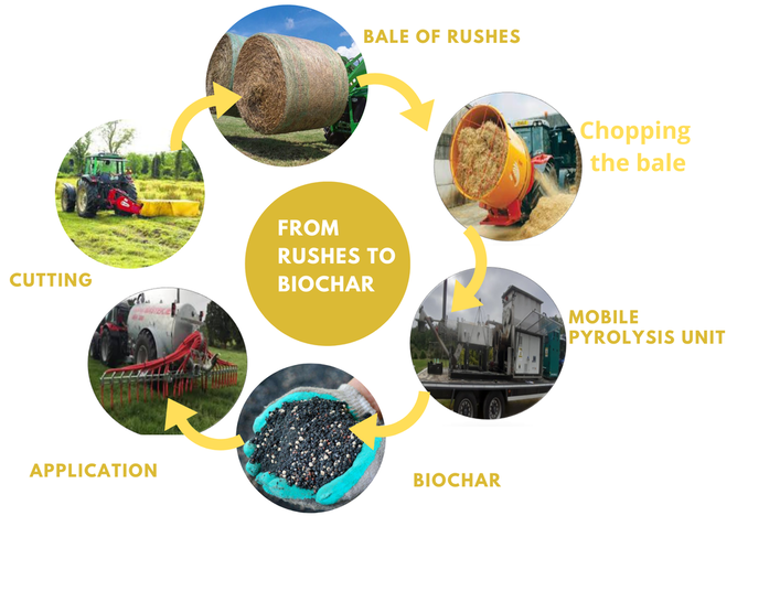 Van biomassa naar biochar voor de bio-economie in de landbouw (BBFB)-image