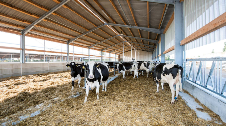 Support for agricultural  Enterprises from 2020-image