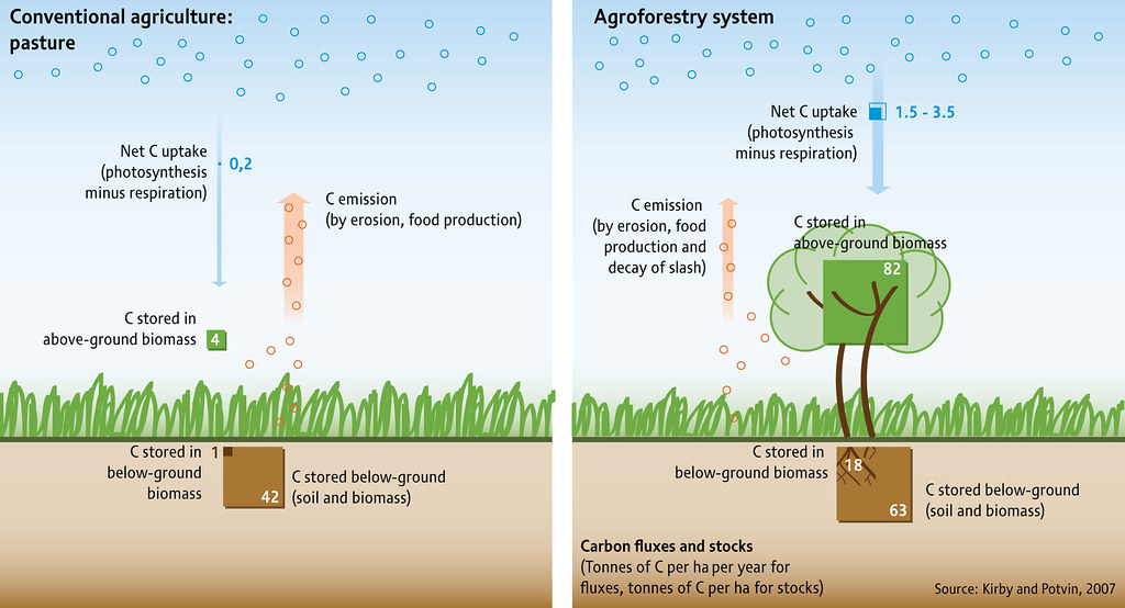 Achievable agricultural soil carbon sequestration across Europe from country-specific estimates-image