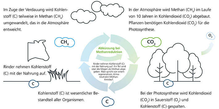MX concept for methane reduction - Livestock solution-image