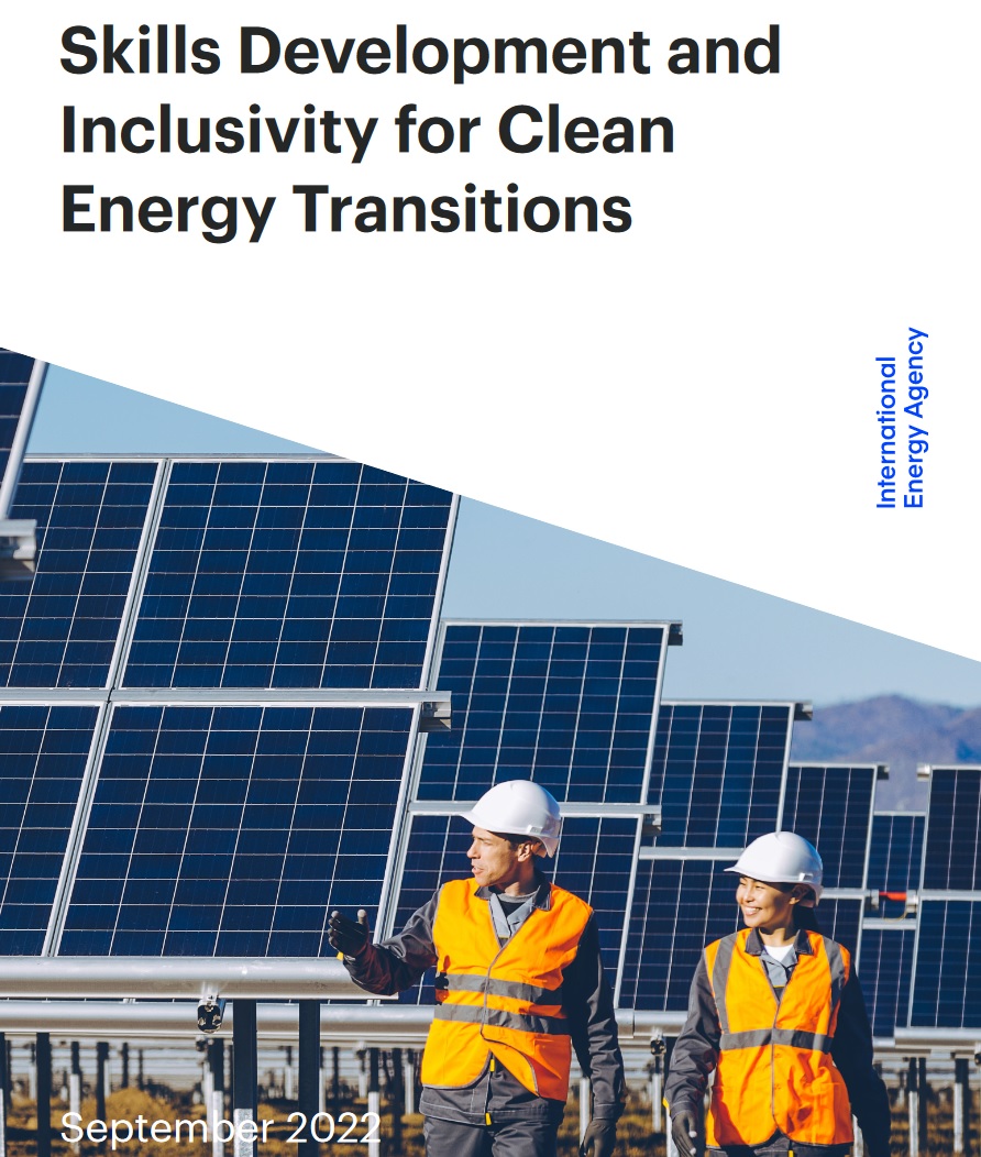 Skills Development and Inclusivity for Clean Energy Transitions-image