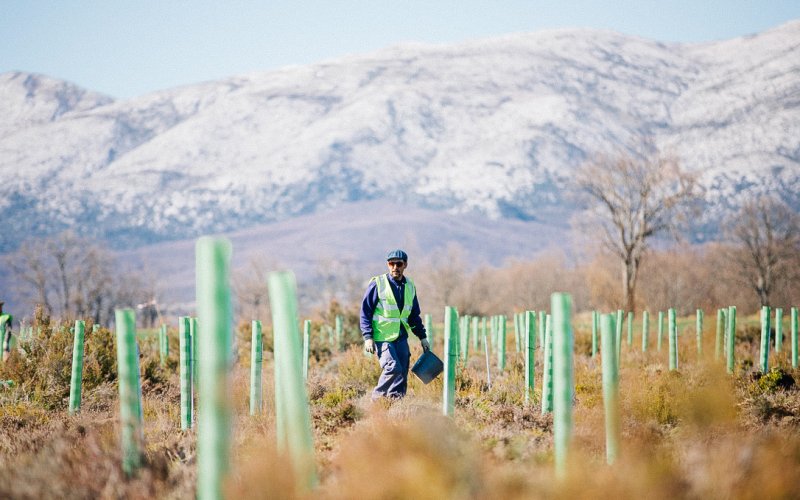 Optimalisering van de productielijn van een innovatief biologisch afbreekbaar waterreservoir voor toepassing in efficiënte ecosysteemherstelplannen op basis van het landschap-image