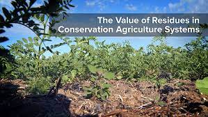 El valor de los residuos en los sistemas de agricultura de conservación-image