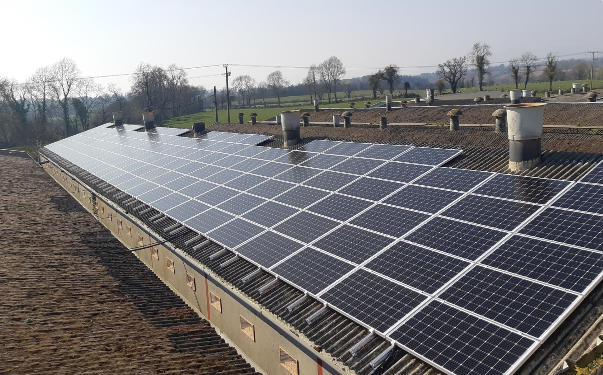 Paneles solares Solarwatt PV-image