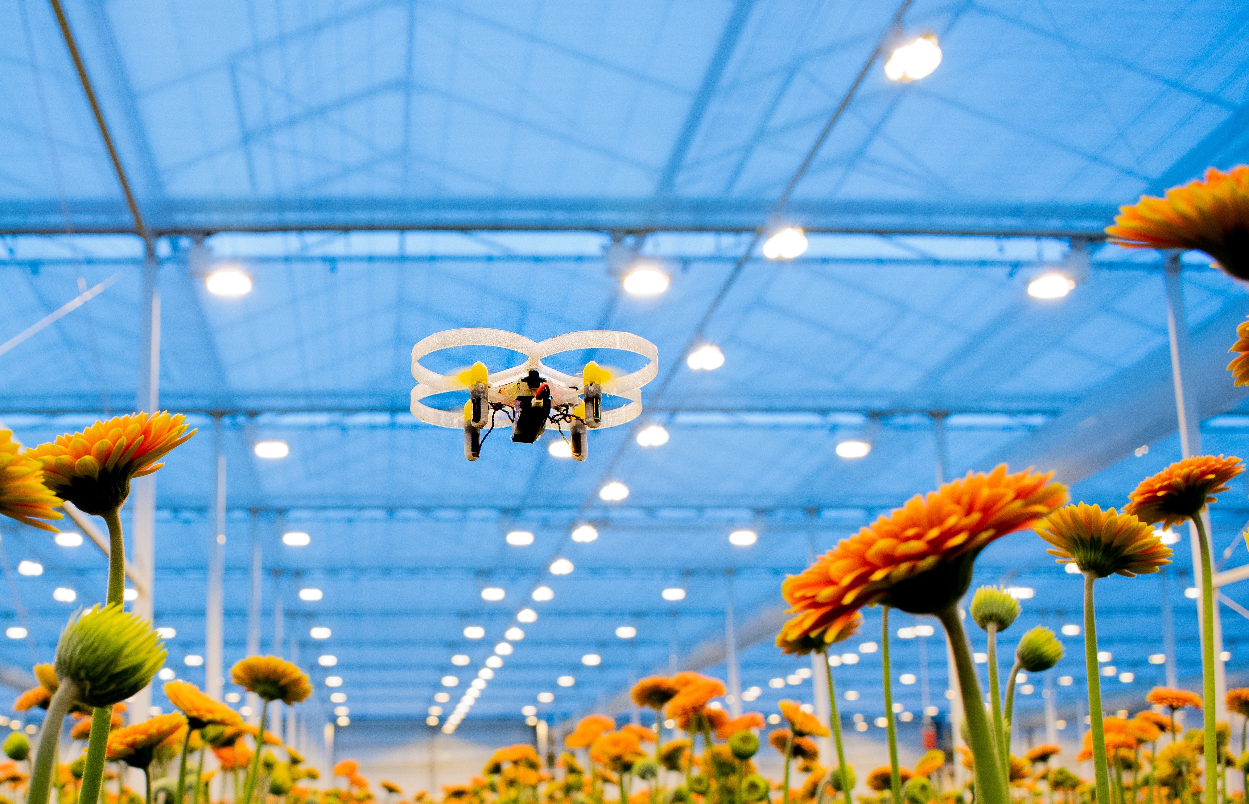 Pats - Indoor Drone-image