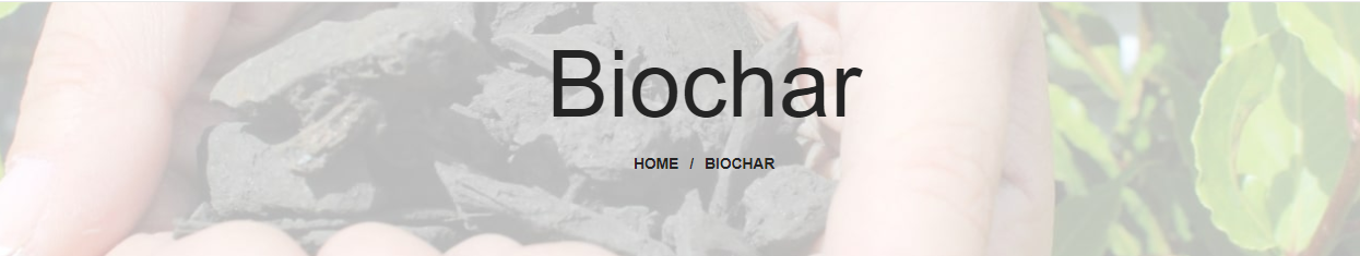 BioDea Biochar-image