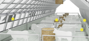TARK LAUT - een innovatief concept voor thermisch geregelde stallen op hernieuwbare energie-image
