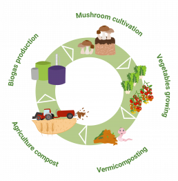 Developing commercial mushroom and vegetable production in an integrated food to waste to food biosystem.-image