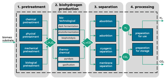 A New Perspective for Climate Change Mitigation—Introducing Carbon-Negative Hydrogen Production from Biomass with Carbon Capture and Storage (HyBECCS)-image