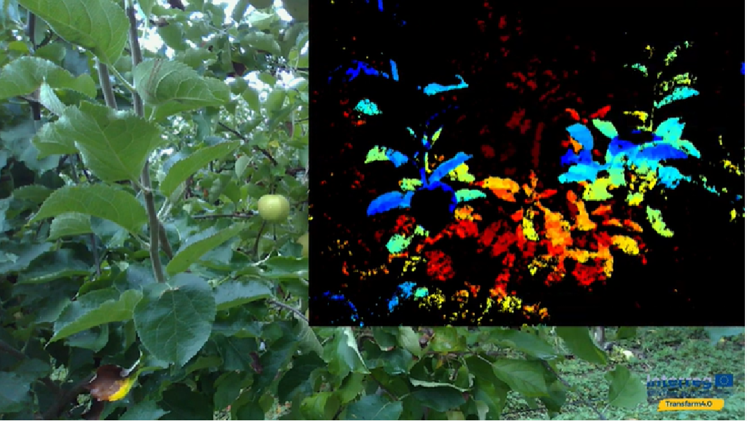 Transfarm 4.0-image