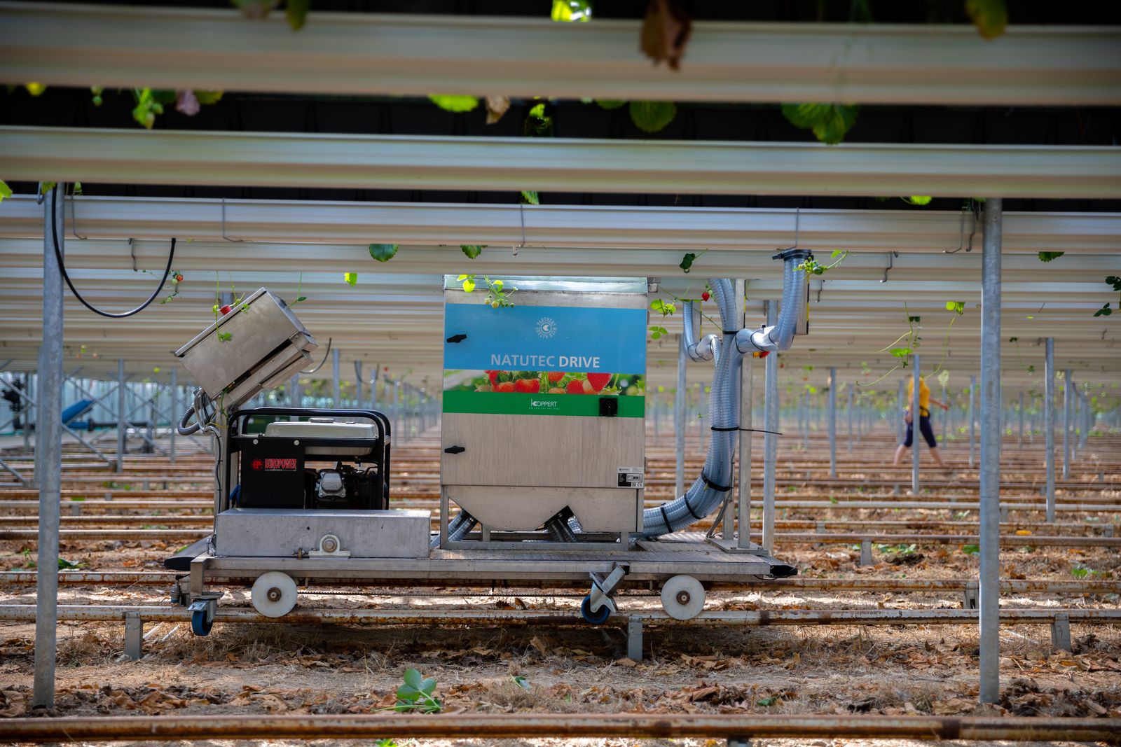 Natutec Drive-image
