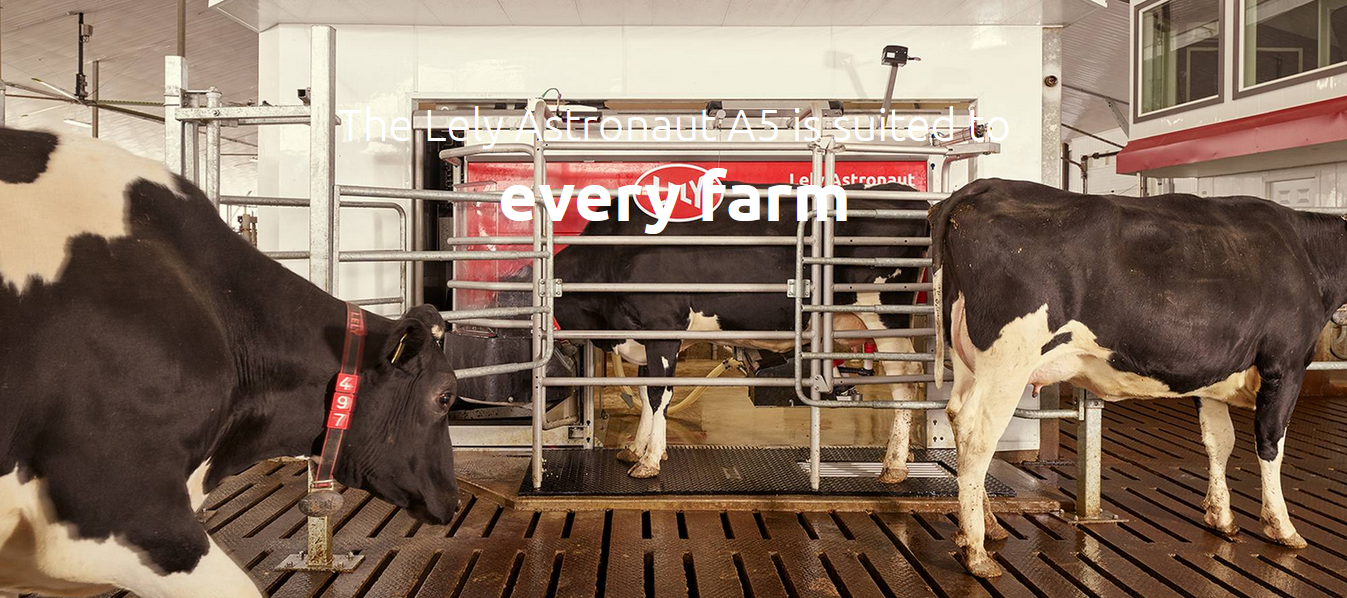 Lely Astronaut A5 - Milking Robot-image