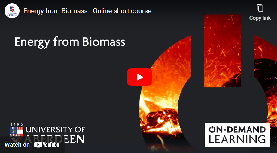 Energia da biomasse - Corso breve online-image
