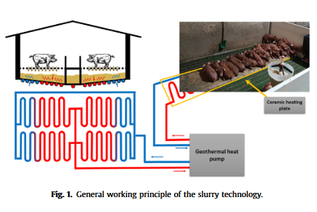 Investigating the potential of the slurry technology for sustainable pig farm heating-image