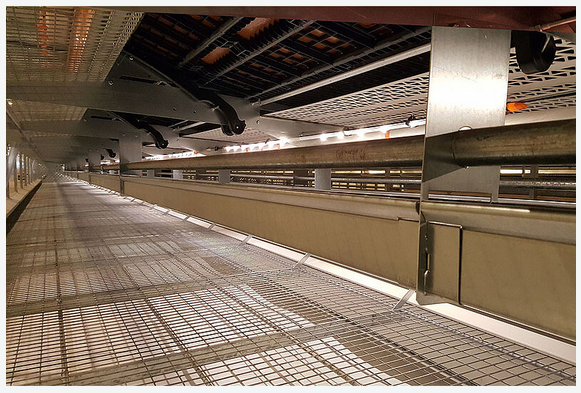 Luce per stalle - FlexLED-image