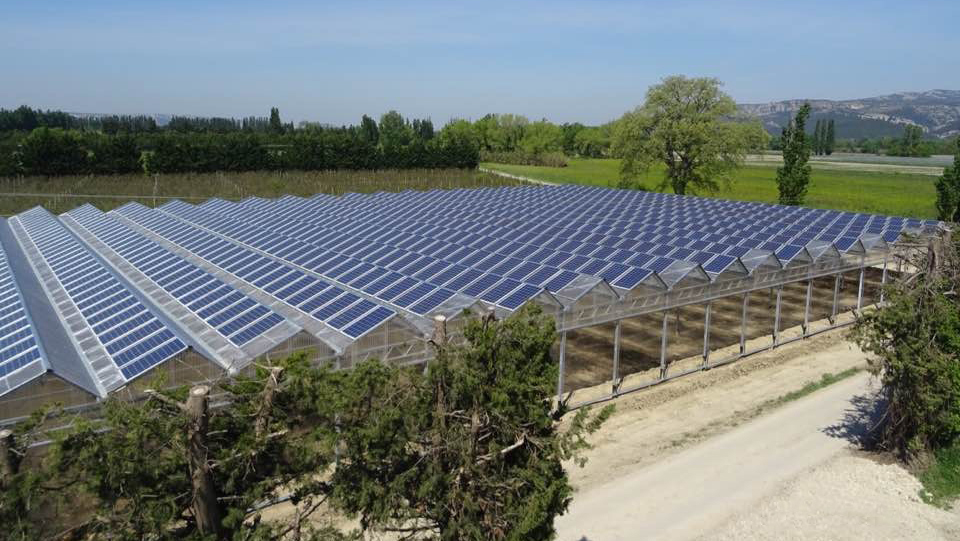 Serre Agricole Fotovoltaiche-image