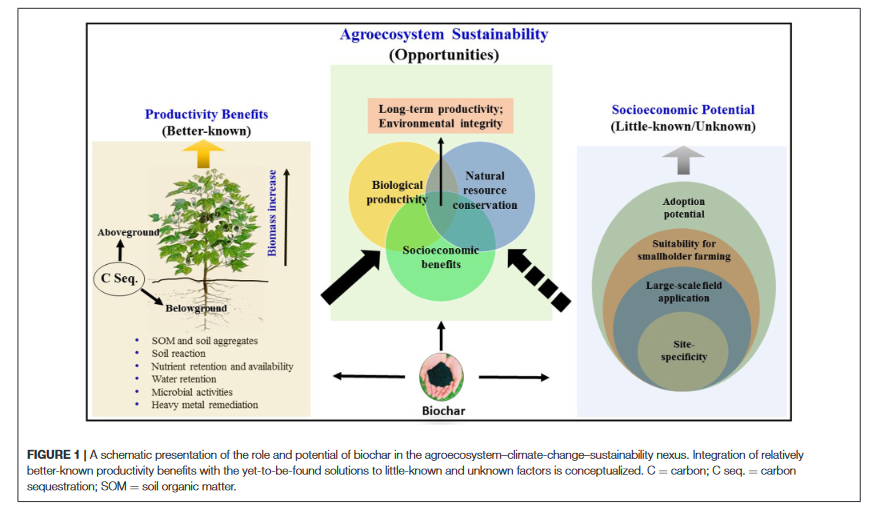 Biochar in the agroecosystem-climate-change-sustainability Nexus-image
