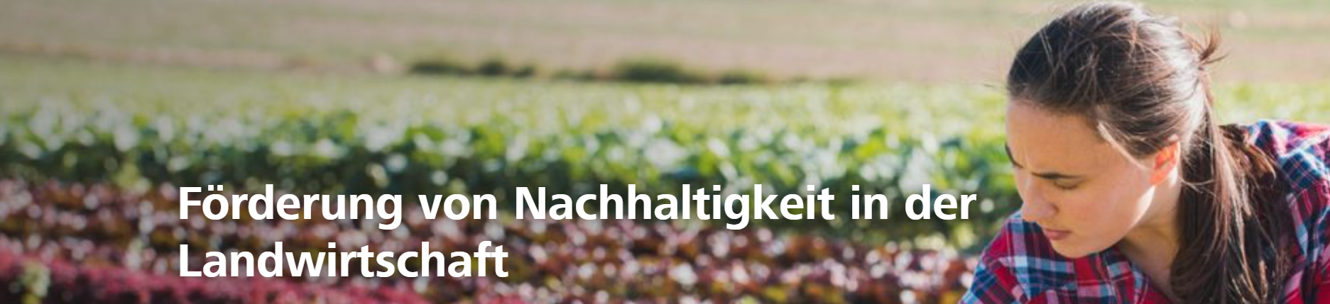 FörderWelt Landbouw-image