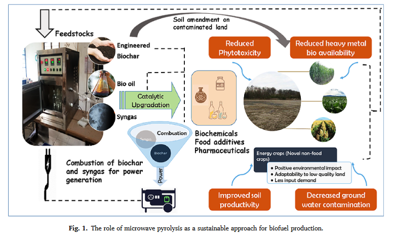Mikrobølgeassisteret karbonisering og aktivering af biochar til energi-miljø-nexus: Et review-image