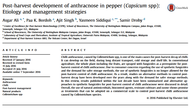 Post-harvest development of anthracnose in pepper (Capsicum spp): Etiology and management strategies-image
