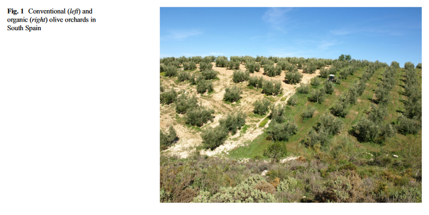 Greenhouse gas emissions from conventional and organic cropping systems in Spain. II. Fruit tree orchards-image