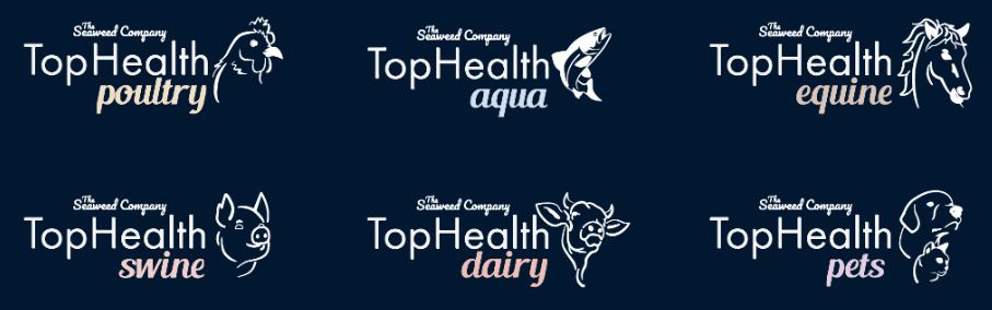Animal Health-image