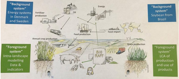 Bioraffinerie verdi per la produzione sostenibile di bioenergia dall'agricoltura-image