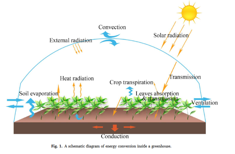 A study on temperature spatial distribution of a greenhouse under solar load with considering crop transpiration and optical effects-image