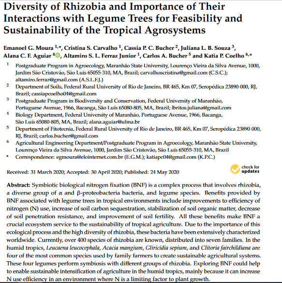 Diversity of rhizobia and importance of their interactions with legume trees for feasibility and sustainability of the tropical agrosystems-image