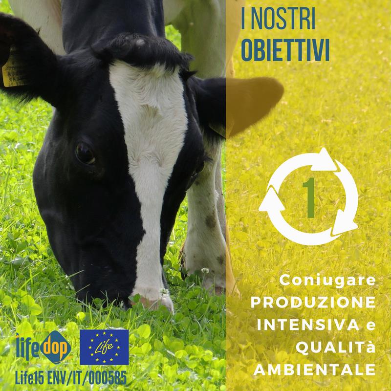 Modello dimostrativo di economia circolare Processo in un'industria lattiero-casearia di alta qualità-image