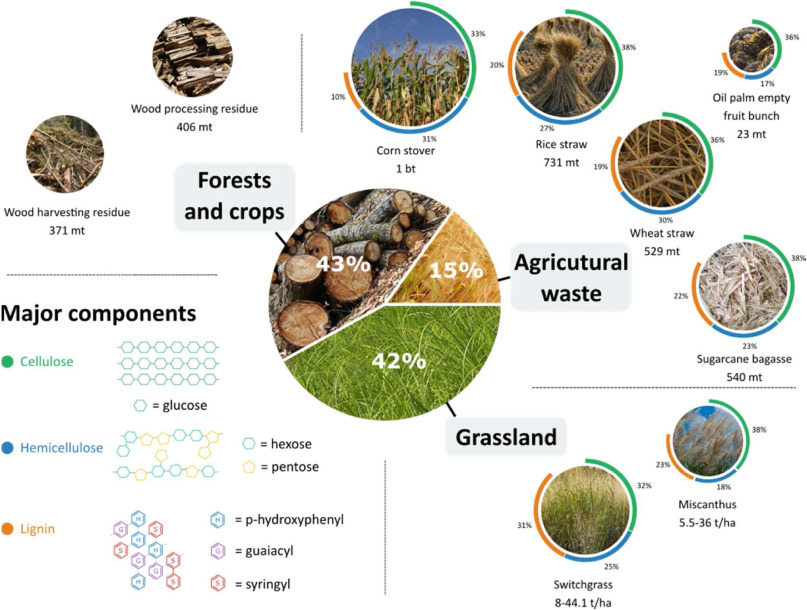 Catalytic conversion of lignocellulosic biomass into chemicals and fuels-image