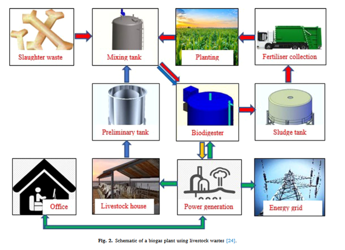 Theoretical calculation of biogas production and greenhouse gas emission reduction potential of livestock, poultry and slaughterhouse waste in Bangladesh-image