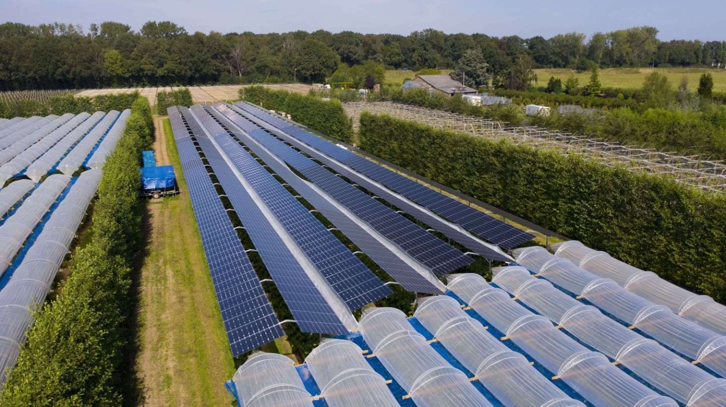Agrofotovoltaik som et modstandsdygtighedskoncept til tilpasning til klimaændringer i frugtavl-image