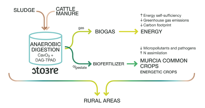 Synergic TPAD and O3 process in WWTPs for Resoruce Efficient waste management-image