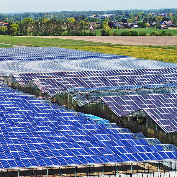 SOLAR PANELS FOR GREENHOUSES-image
