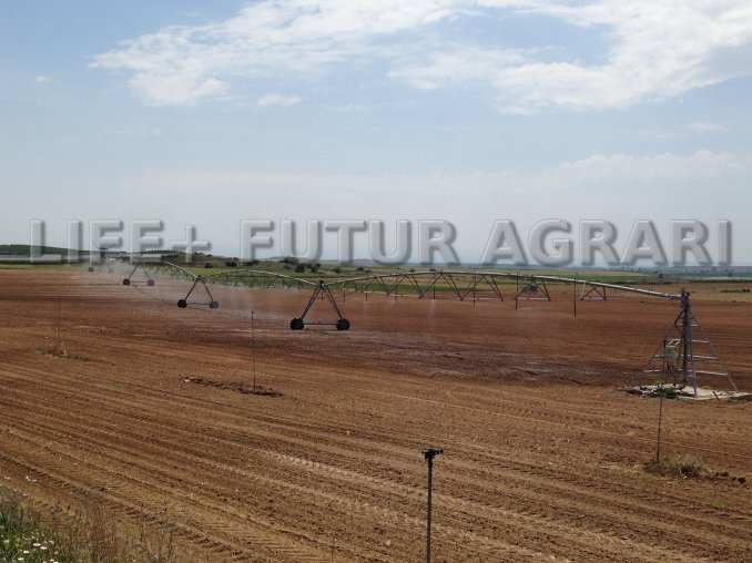 Boerderijen voor de toekomst: Innovatie voor duurzaam mestbeheer van boerderij tot bodem-image